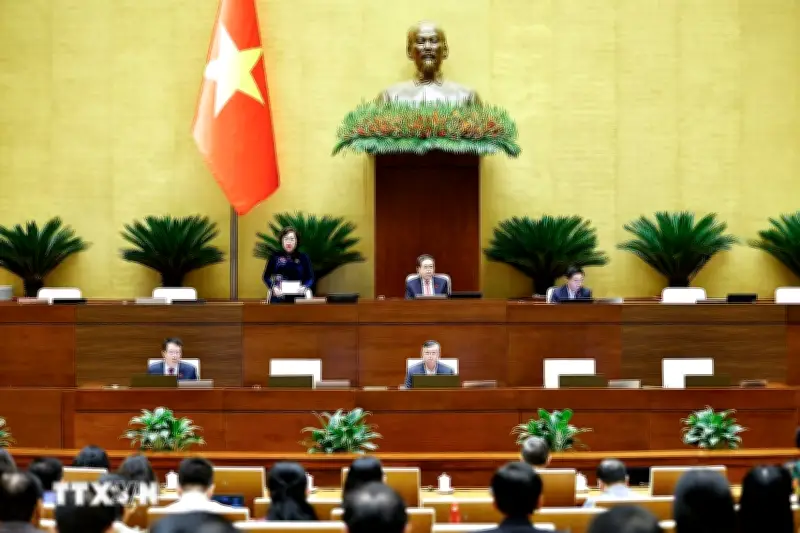 Quốc Hội Dự Kiến Giám Sát Tài Sản Công Và Bảo Hiểm Xã Hội Trong Năm Nay