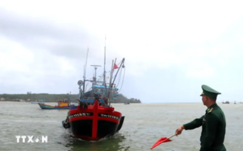 Quảng Ngãi chuẩn hóa dữ liệu bắt buộc cho tàu cá trong quản lý nghề cá