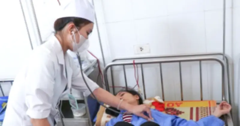 Quảng Ngãi: Phát hiện vi khuẩn Salmonella và Bacillus cereus trong bánh mì gây ngộ độc