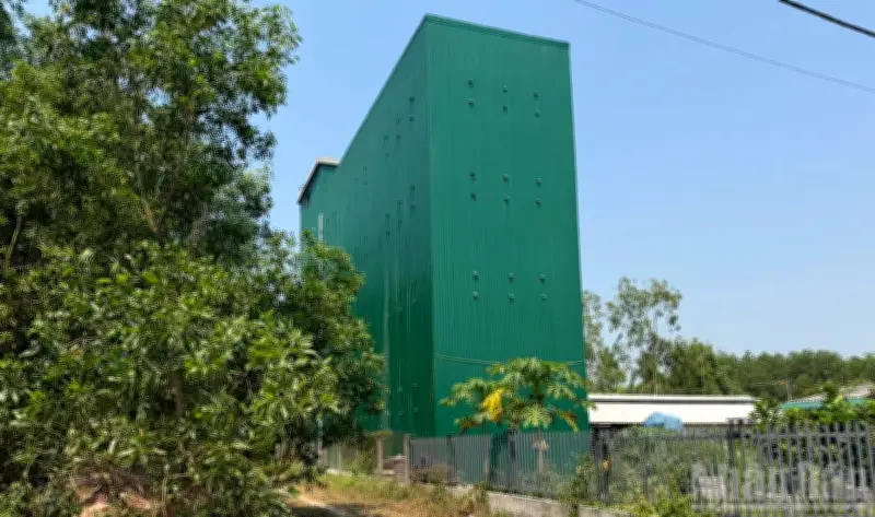 Quảng Ngãi quyết liệt ngăn chặn nạn săn bắt chim yến trái phép