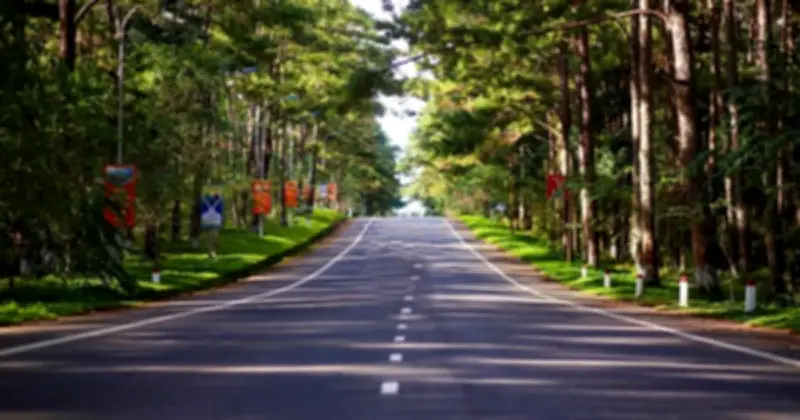 Quảng Ngãi đẩy mạnh xây dựng Măng Đen thành Khu du lịch quốc gia, thu hút đầu tư lớn