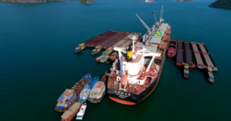 Quảng Ninh Hợp Tác Với Mỹ Phát Triển Cảng Con Ong - Hòn Nét Thành Cảng Biển Hiện Đại