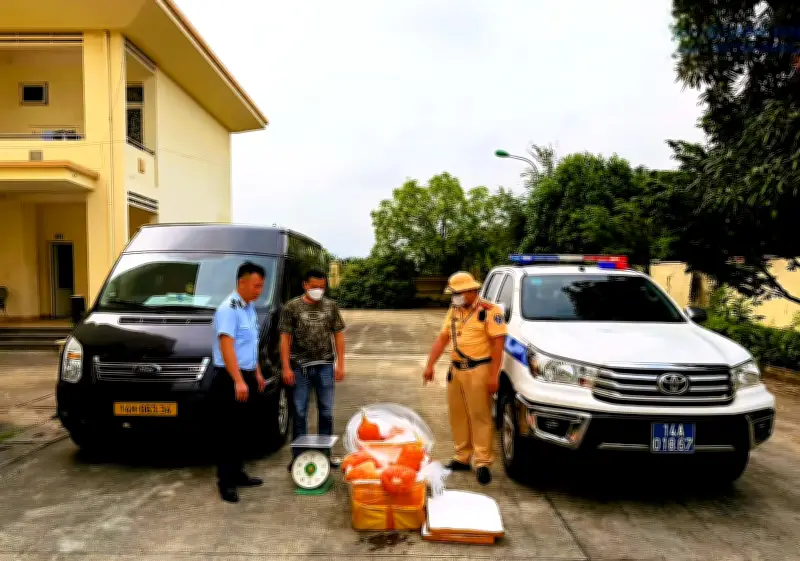 Quảng Ninh liên tiếp triệt phá các vụ vi phạm an toàn thực phẩm quy mô lớn