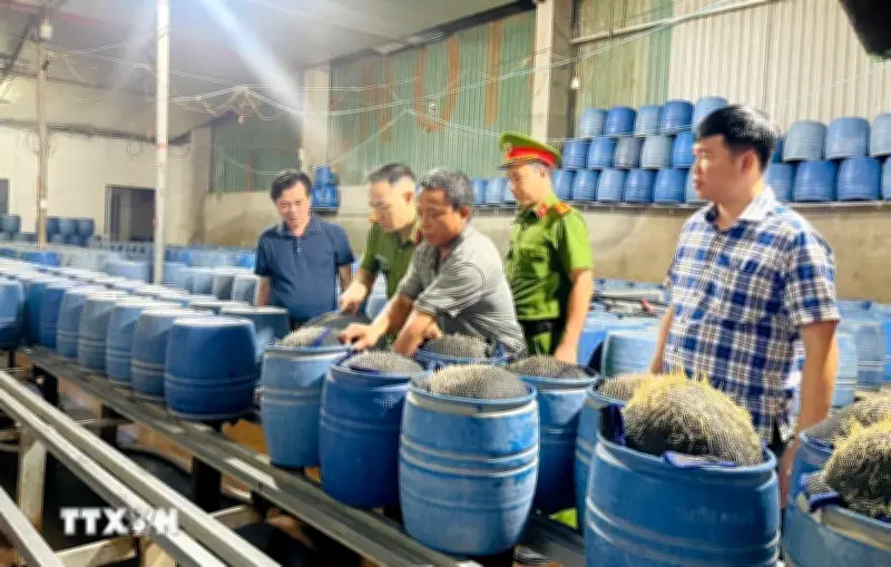 Quảng Ninh phát hiện nhiều cơ sở sản xuất giả đồ sứ sử dụng chất cấm