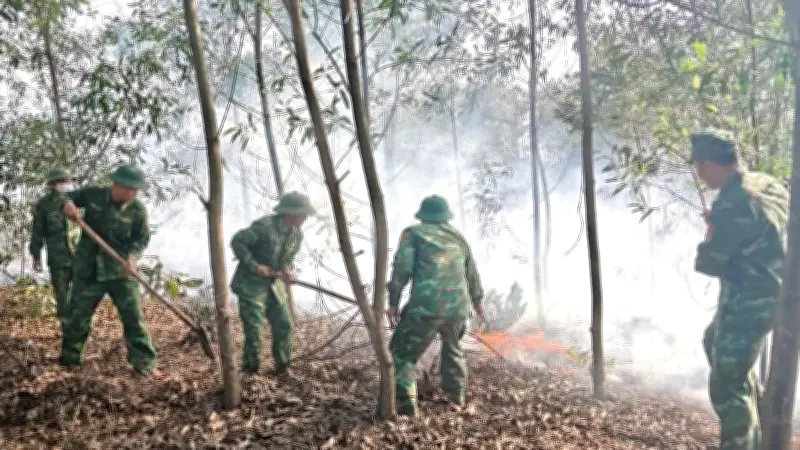 Quảng Trị Cảnh Báo Nguy Cơ Cháy Rừng Cao, Triển Khai Biện Pháp Phòng Cháy Khẩn Cấp