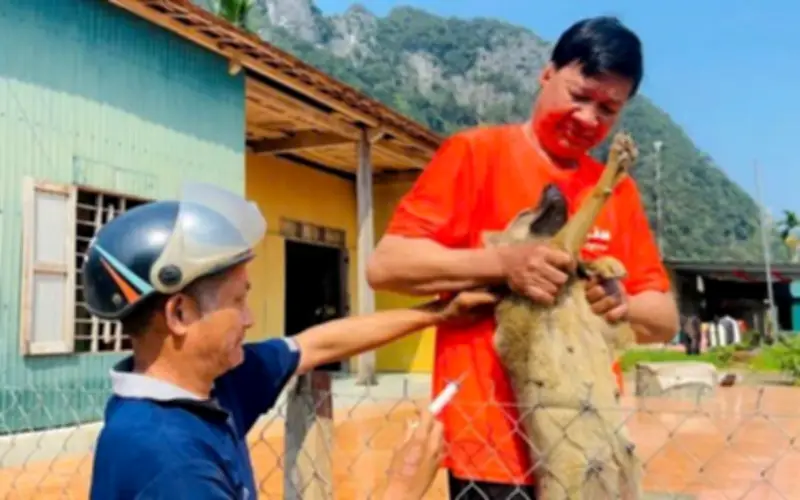 Quảng Trị: Ghi nhận ca tử vong do dại, đẩy mạnh tiêm phòng và nâng cao nhận thức cộng đồng