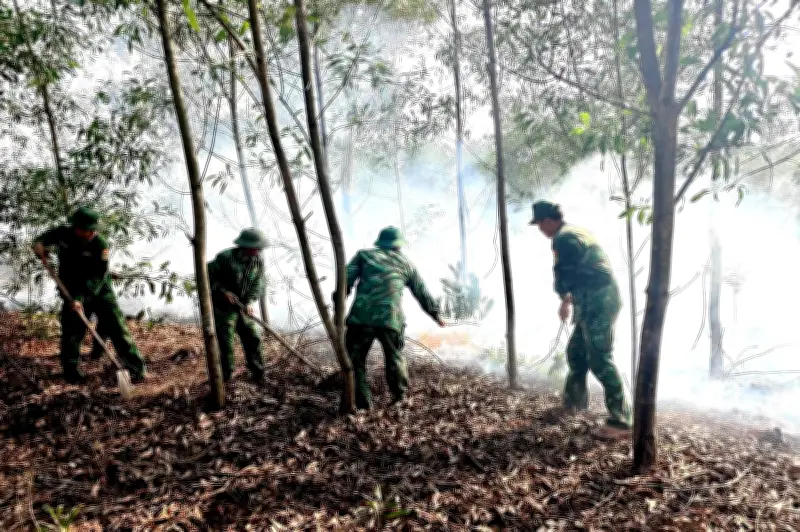 Quảng Trị Kịp Thời Dập Tắt Đám Cháy Rừng Ở Khu Vực Biên Giới Biển