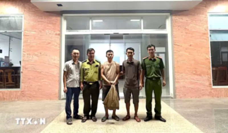 Quảng Trị tiếp nhận 2 cá thể tê tê quý hiếm thuộc nhóm nguy cấp