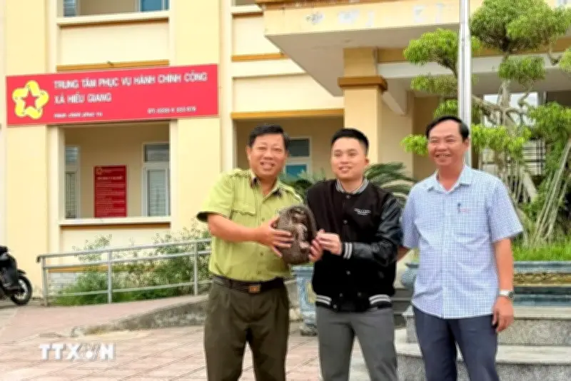 Quảng Trị tiếp nhận một cá thể tê tê quý hiếm từ người dân