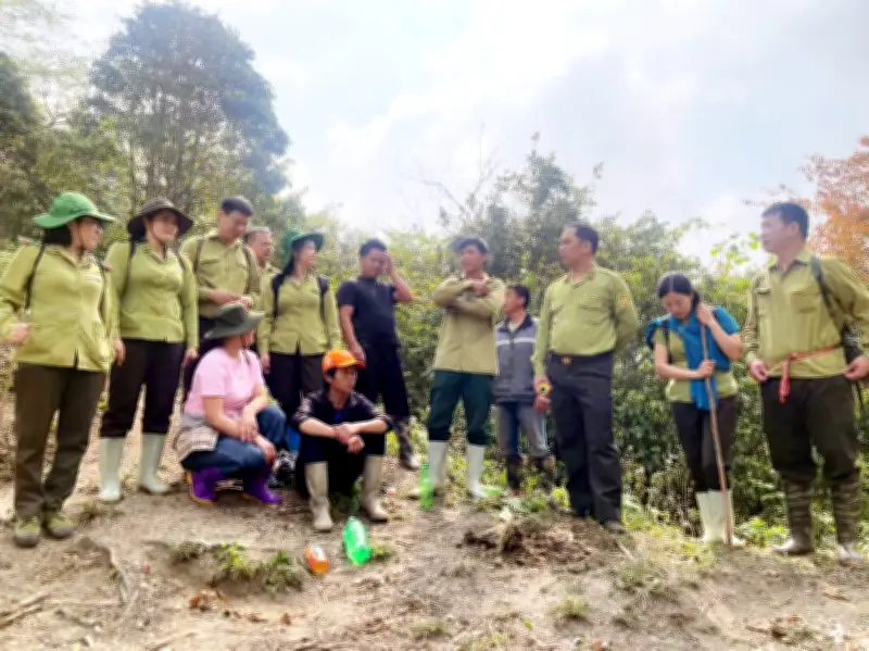Quảng Trị và Tuyên Quang tăng cường phòng cháy rừng mùa khô