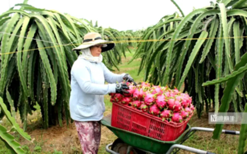 Quy hoạch vùng – chìa khóa chuyển đổi nông nghiệp bền vững tại Lâm Đồng