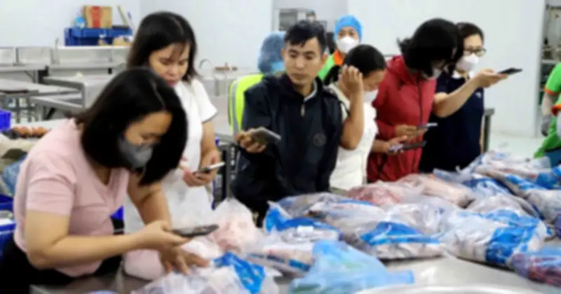 Quy Trình Lựa Chọn Nhà Thầu Bữa Ăn Bán Trú: Thách Thức Và Rủi Ro Trong Trường Học