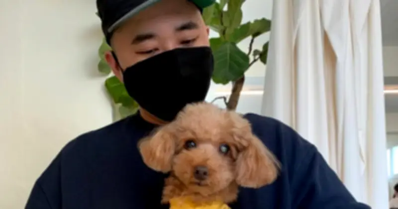 Rapper kiêm CEO Hàn Quốc Jerry.K qua đời ở tuổi 42 vì ung thư não