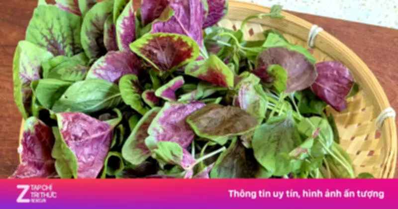 Rau Dền Đỏ: Canxi Gấp 10 Lần Thịt Bò, Lợi Ích Và Lưu Ý Khi Dùng