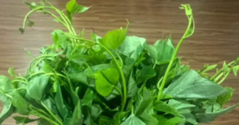 Rau Lang - Thực Phẩm Dân Dã Với Nhiều Lợi Ích Sức Khỏe Đáng Kinh Ngạc