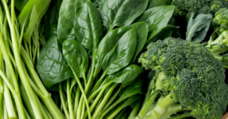 Rau Muống, Cải Bó Xôi, Bông Cải Xanh: Bí Quyết Dinh Dưỡng Từ Các Loại Rau Phổ Biến