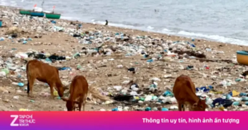 Rác thải bủa vây bãi biển Lâm Đồng, cảnh báo ô nhiễm môi trường nghiêm trọng