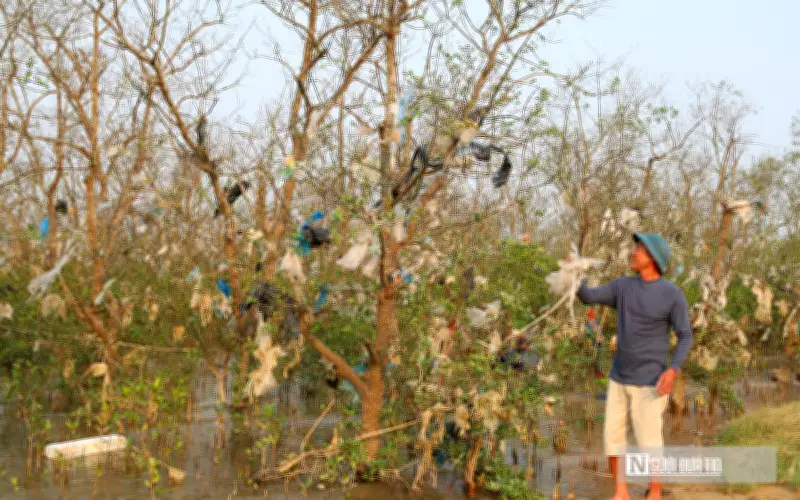 Rừng Bần Nghệ An Ngập Trong Rác Thải Sau Mưa Lũ, Người Dân Kêu Cứu