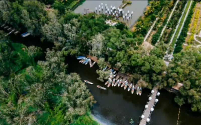 Rừng Tràm Trà Sư: Kỳ Quan Xanh Miền Tây Với Hệ Sinh Thái Độc Đáo