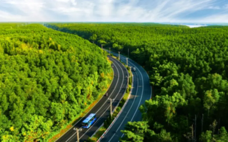 Runner tìm về 'lá phổi xanh' Cần Giờ: Hành trình detox phổi giữa rừng ngập mặn