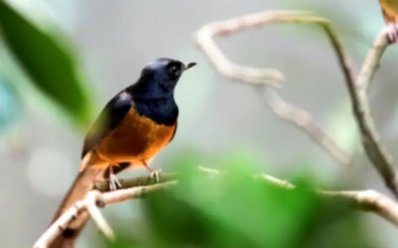 Số cuối ngày sinh âm lịch: Mệnh hút tiền, thần tài theo sát, sự nghiệp vững vàng