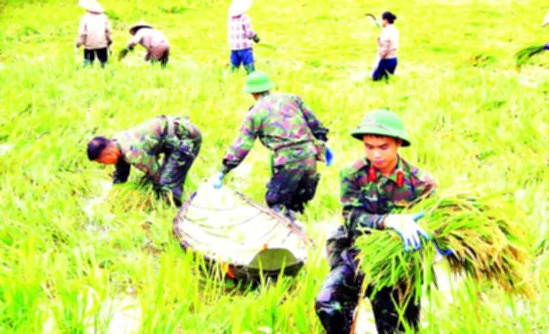 Sư đoàn 316: 75 năm vẻ vang với chiến công lịch sử và đóng góp thầm lặng