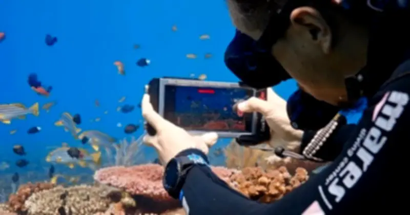 Samsung hé lộ Ocean Mode: Công nghệ chụp ảnh đáy biển độc đáo cho Galaxy Ultra