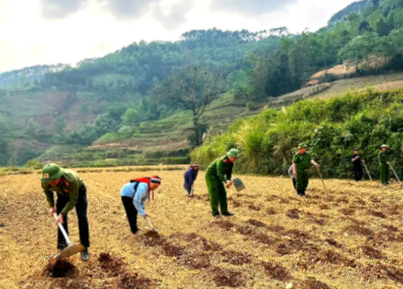 Sắc Phục Xanh Góp Sức Dựng Xây Mùa Vàng Mới Trên Nương Cao Tuyên Quang