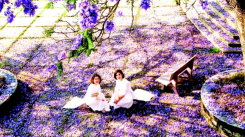 Sắc Tím Phượng Bung Nở, Đà Lạt Khoác Lên Mình Vẻ Đẹp Mộng Mơ Vào Xuân