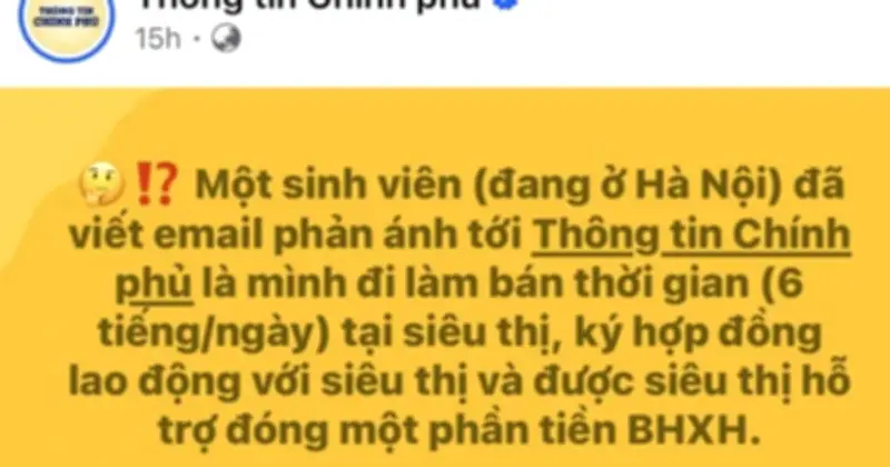 Sinh Viên Làm Thêm: Cảnh Báo Từ Chuyên Gia Về Quyền Lao Động Và Bảo Hiểm