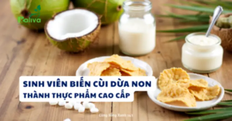 Sinh Viên TP.HCM Biến Cùi Dừa Non Thành Snack Và Mayonnaise, Đoạt Giải FID 2025