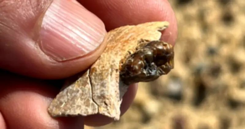 Sinh Vật Lạ AI Cấp Vua: Thay Đổi Lịch Sử Loài Người