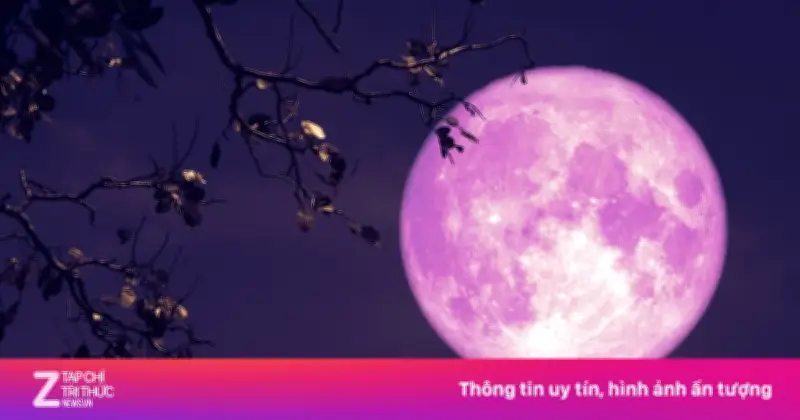 Siêu Trăng Hồng Rực Sáng Trên Bầu Trời TP.HCM: Hướng Dẫn Quan Sát Chi Tiết