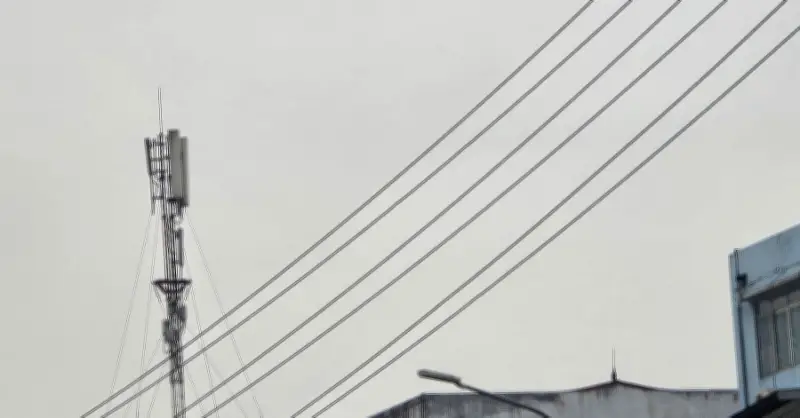 Sơn La: Hạ tầng số mở lối, người dân vùng cao vươn lên thoát nghèo thông tin