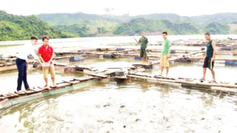 Sơn La định hình chuỗi giá trị thủy sản khép kín, hướng tới mục tiêu 10.700 tấn vào năm 2030