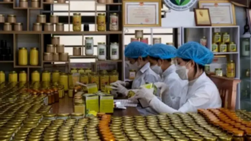 Sơn La đẩy mạnh đào tạo nghề nông thôn, hướng tới xây dựng trung tâm chế biến nông sản vùng miền núi phía Bắc