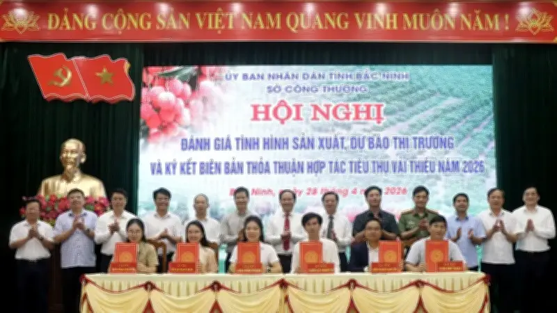 Sản lượng vải thiều Bắc Ninh giảm hơn 50% do thời tiết bất thuận