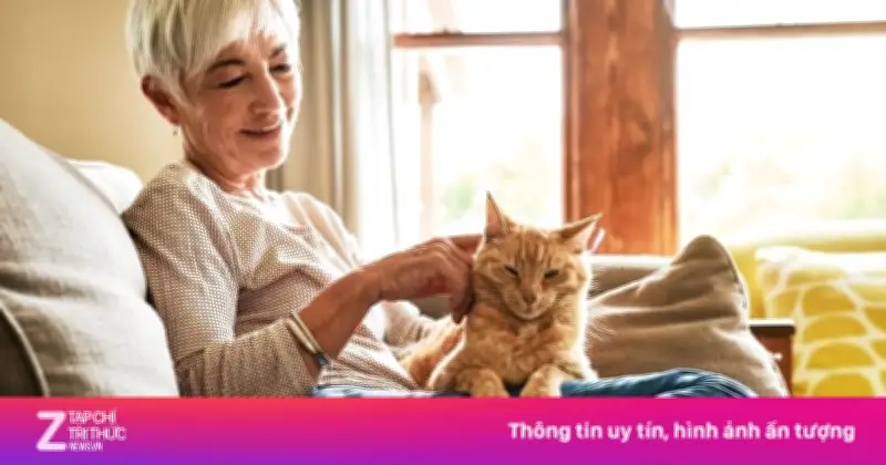 Sống Độc Lập Tuổi Già: Xu Hướng Tất Yếu Hay Bài Toán Tâm Lý Phức Tạp?