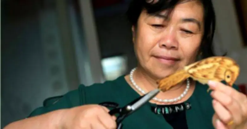 Sống chung tuổi trung niên: Bài toán tài chính và trách nhiệm trong mối quan hệ