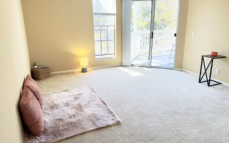 Sống Với Gần Như 'Không Có Gì': Câu Chuyện Tối Giản Cực Đoan Của Một Phụ Nữ Mỹ