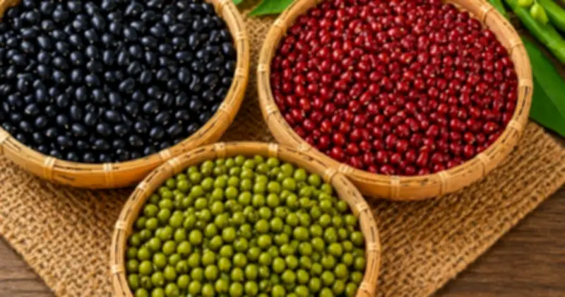 So Sánh Dinh Dưỡng Đậu Đen, Đậu Đỏ Và Đậu Xanh: Loại Nào Tốt Hơn?