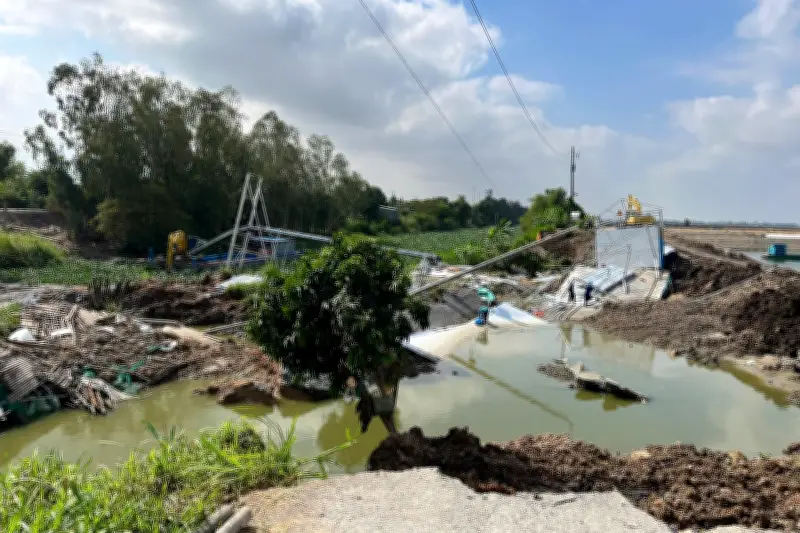 Sạt lở bờ ao, hơn 100 tấn cá tra của nông dân Đồng Tháp trôi sông