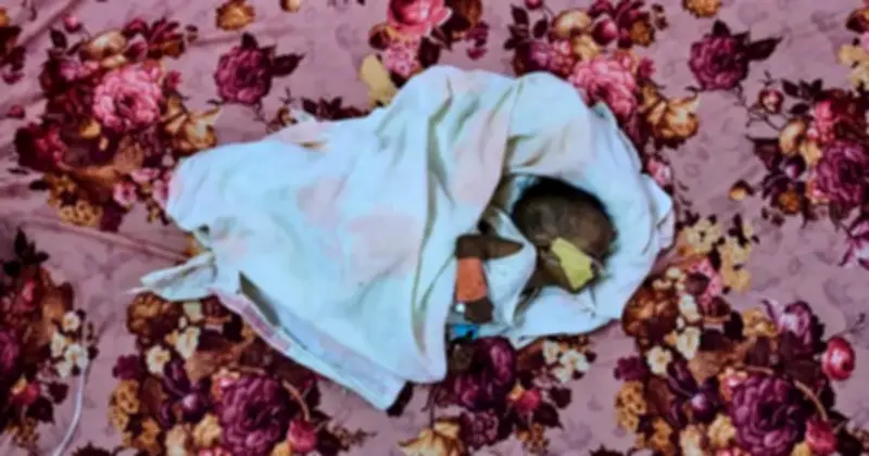 Sudan đối mặt khủng hoảng nhân đạo nghiêm trọng: Nạn đói lan rộng sau 3 năm xung đột