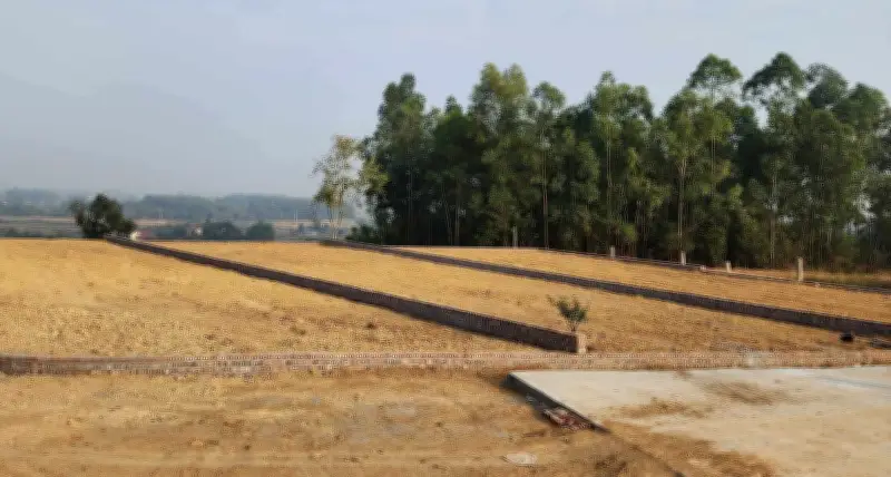 Từ 1.500m2 đất hợp thửa có được tách thành 2 lô mặt tiền quốc lộ?