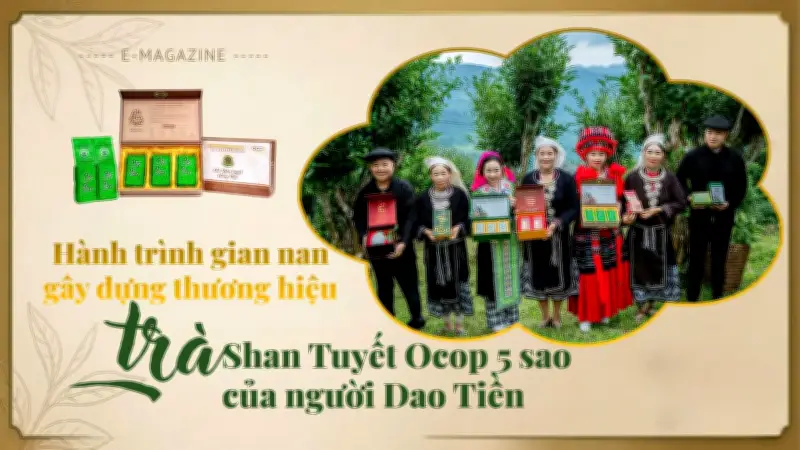Từ 20ha trà Shan tuyết bỏ hoang, người đàn ông Hồng Thái xây dựng thương hiệu OCOP 5 sao