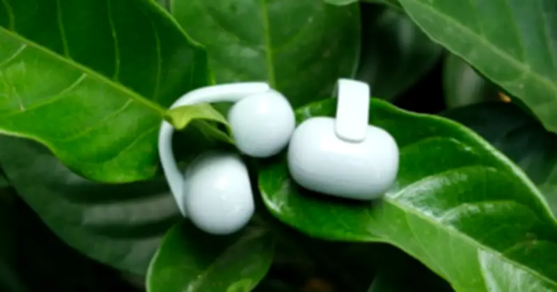 Từ cách ly âm thanh đến kết nối môi trường: Cuộc cách mạng tai nghe mở tại đô thị Việt