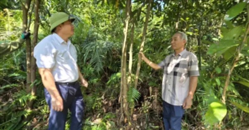 Từ hỗ trợ sang tự chủ sinh kế: Chuyển biến vùng cao Quảng Ninh