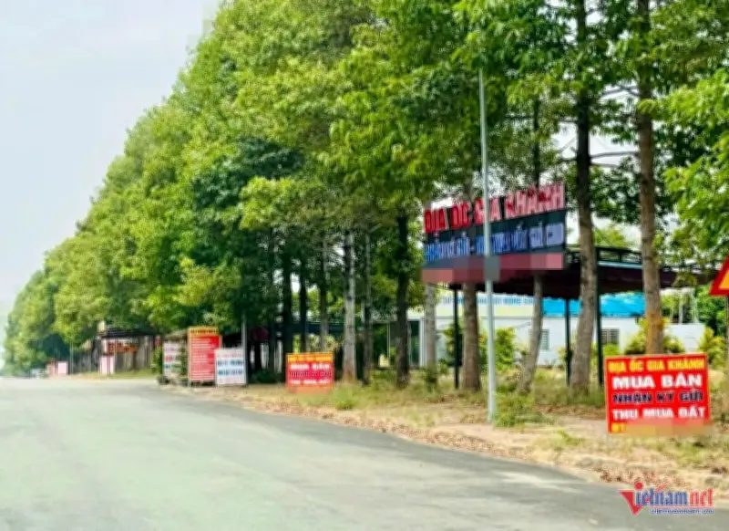 Đất nông nghiệp, đất rừng đối mặt nguy cơ mất thanh khoản cao