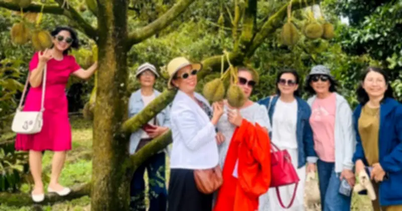 Từ ruộng lúa bấp bênh đến vườn sầu riêng trĩu quả: Hành trình làm giàu của bà Thảo