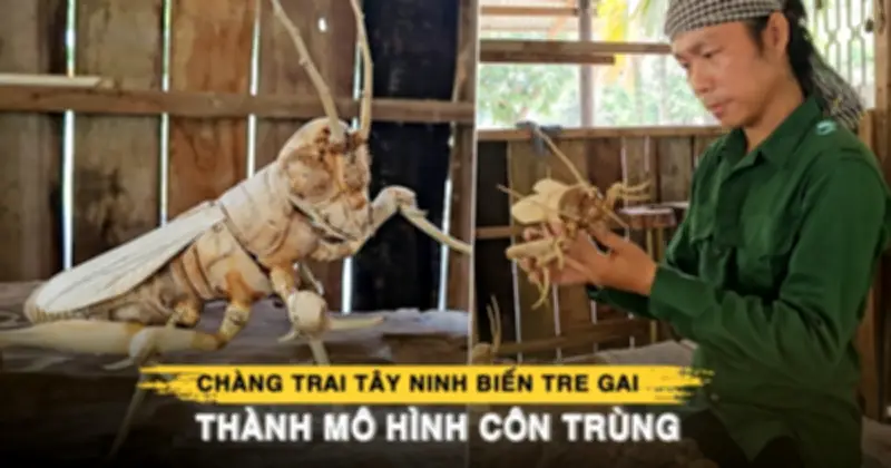 Từ thợ cắt tóc đến nghệ nhân tre gai: Hành trình biến hình thù tự nhiên thành tác phẩm nghệ thuật